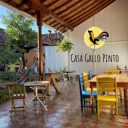 גרנאדה Casa Gallo Pinto מראה חיצוני תמונה